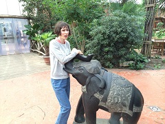 Pairi daiza
