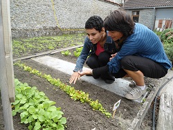 jardinage