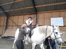 équitation